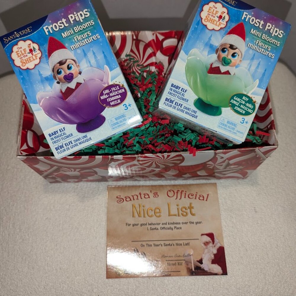 New frost pips elf on the shelf blue eyes boy & girl baby + nice list + key